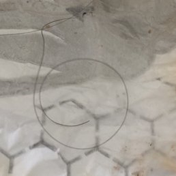 a piece of paper with a circle drawn on it