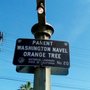Photo of Parent Washington Navel Orange Tree