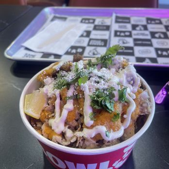 I Am Doner - Mixed doner loaded fries; perfect mix of chicken/beef shaved doner on a bed of fries with red cabbage, onions, cilantro - Kebab Near Me - Toronto, Ontario