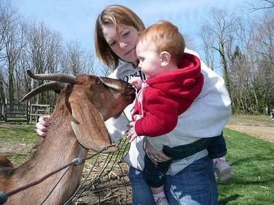 BENNER’S FARM - Updated December 2025 - 55 Photos & 29 Reviews - 56 ...