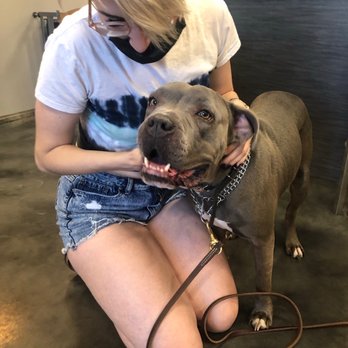 Paws 'n' Rec - Pet Training Near Me - Las Vegas, Nevada