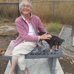 A little pampering on the beautiful mosaic bench created & donated by Kiki and Cooper