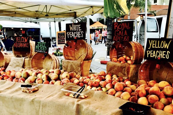 Fullerton Farmer's Market by null