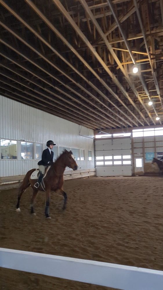 Willowbrooke Farm Inc - equestrian in Plymouth, MI