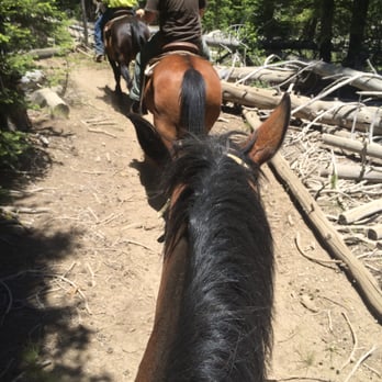Alpine Meadows Stables - Our awesome one-hour ride - Horseback Riding Near Me - Tahoe City, California Alpine Meadows Stables - Our awesome one-hour ride - Horseback Riding Near Me - Tahoe City, California