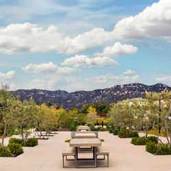 Canopy Grove by Wedgewood Weddings - Cocktail hour