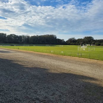 Polo Field - Appears to be my new favorite place. - Stadiums & Arenas Near Me - San Francisco, California