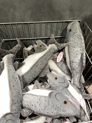 Ward Cove Cruise Ship Pier by null