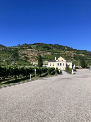 Domäne Wachau by null