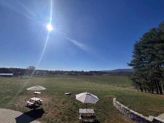 Good Spirit Farm by null