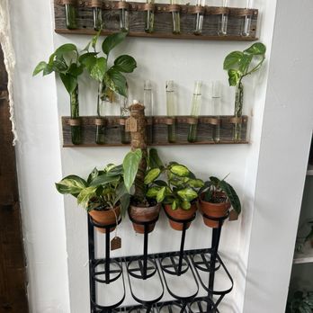 The Florida Farmhouse Coffee - Coffee & Tea Near Me - Arcadia, Florida