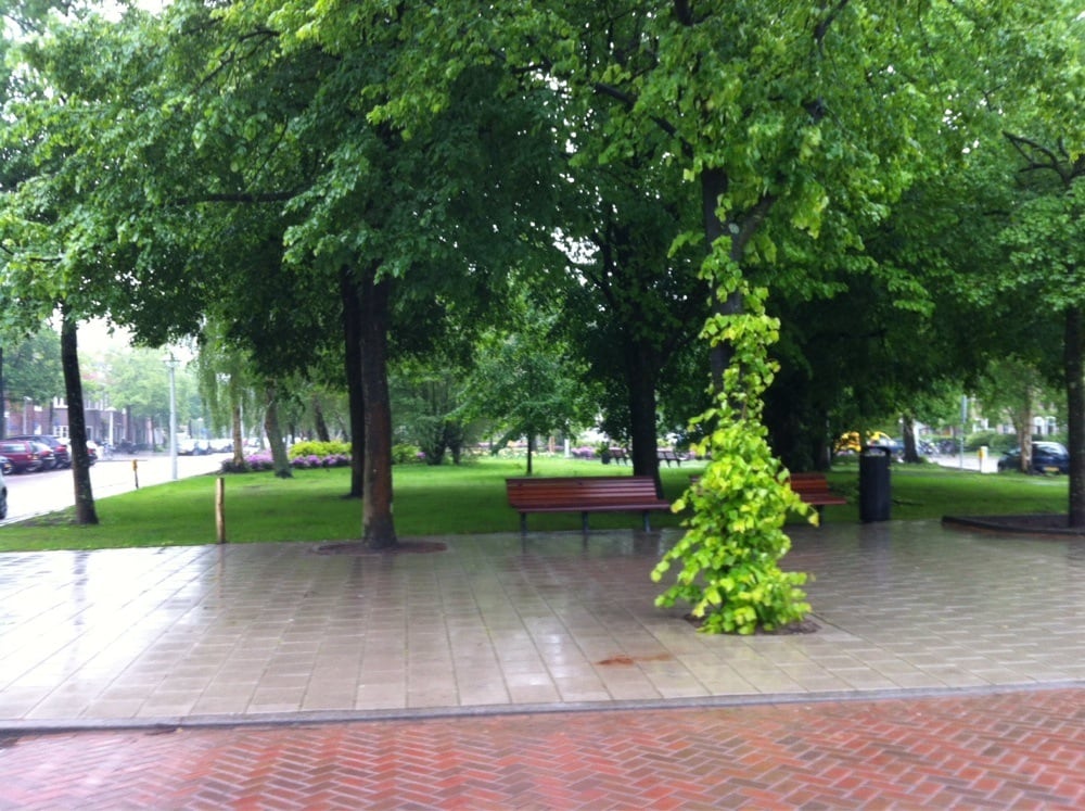 Robert Kochplantsoen