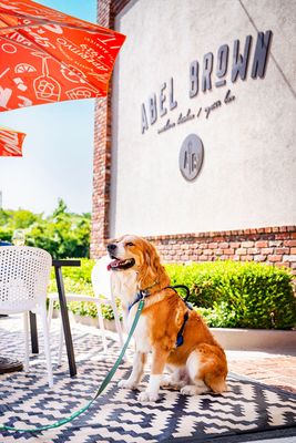 Abel Brown Southern Kitchen & Oyster Bar by null