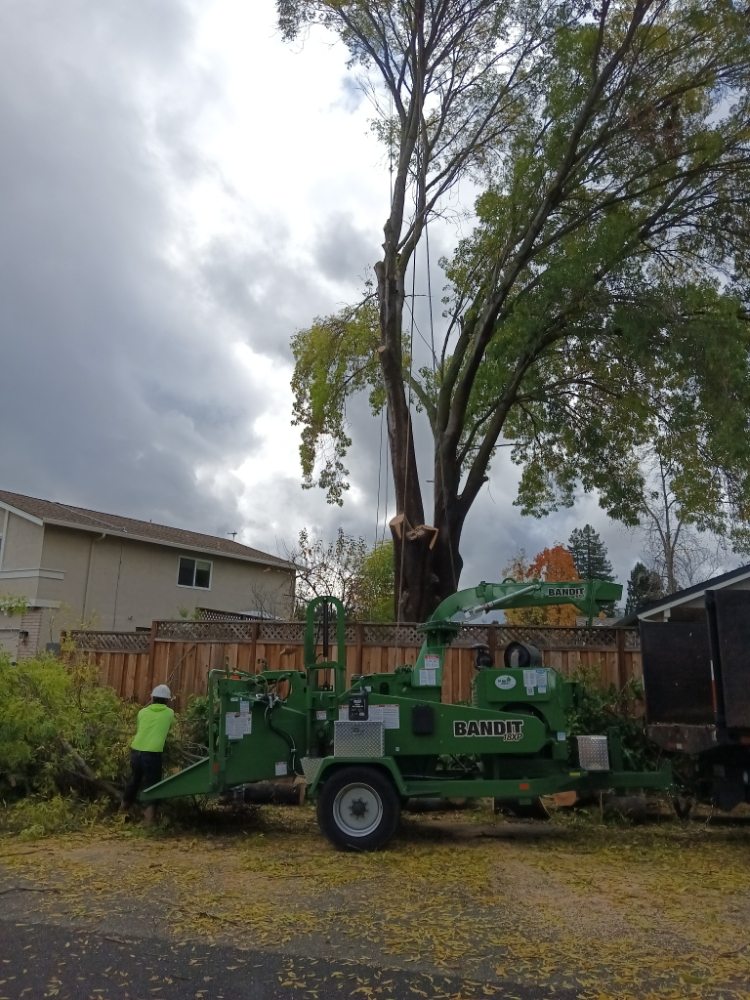 GASPAR LANDSCAPING Updated July 2024 92 Photos & 32 Reviews