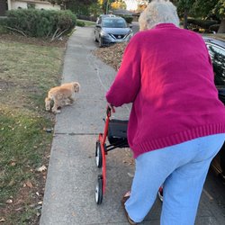 The Retreat at Greenhurst - Daily activities for our residents