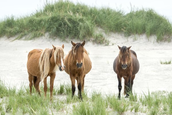 Kattuk Expeditions by null