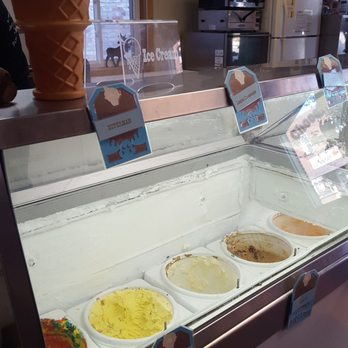 Chocolate Moose - a variety of ice creams in a display case - Coffee & Tea Near Me - Portland, Michigan