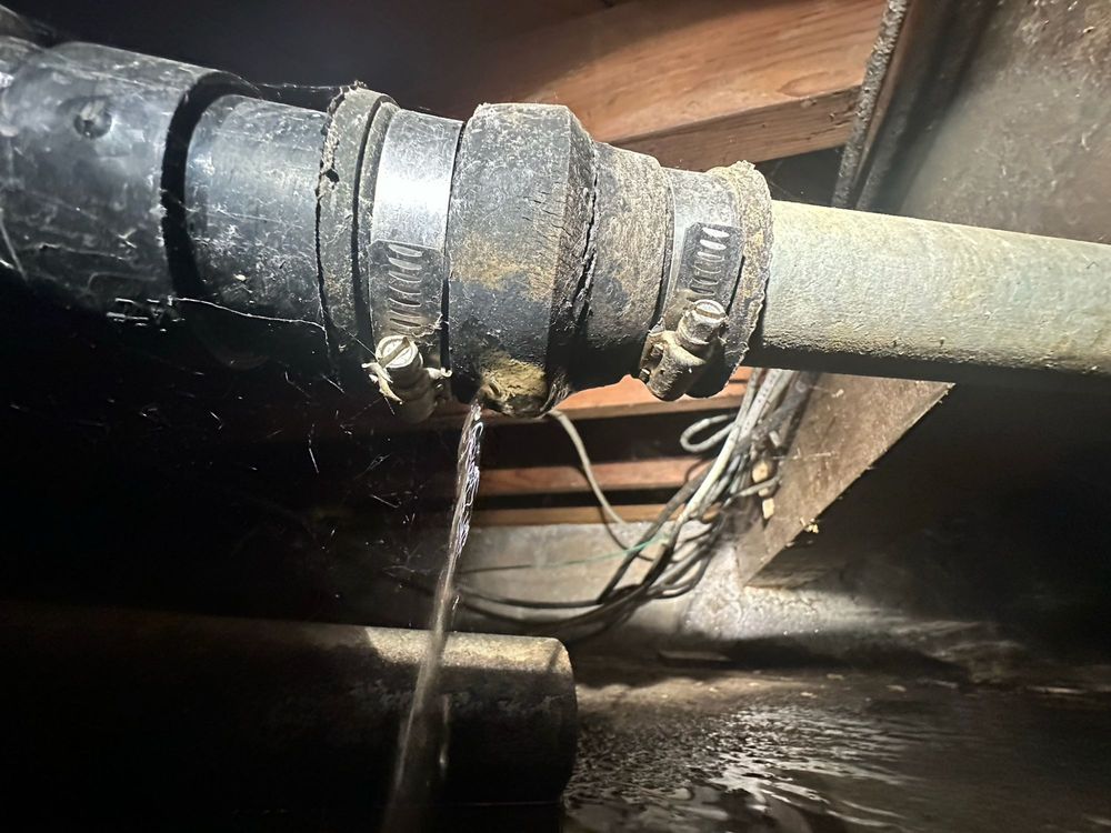 Slide of P1 Plumbing