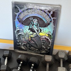 Ventura Picture Framing - Sublime Foil
