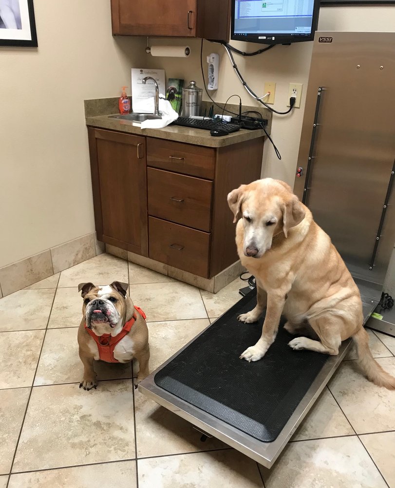 WOODLAND SPRINGS VETERINARY HOSPITAL Updated September 2024 25