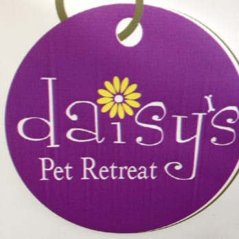 Daisy's Pet Retreat - Pet Groomers Near Me - Charlotte, Michigan Daisy's Pet Retreat - Pet Groomers Near Me - Charlotte, Michigan