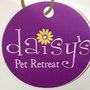 Photo of Daisy's Pet Retreat