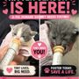 Photo of A-Pal Humane Society