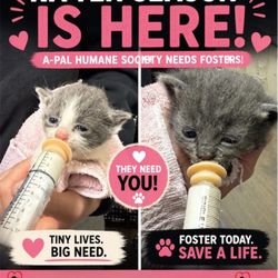 A-Pal Humane Society