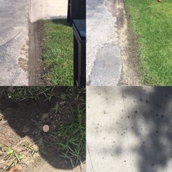 Eryn's Garden - Construction parking in yards & neighbor's broken sprinkler head.