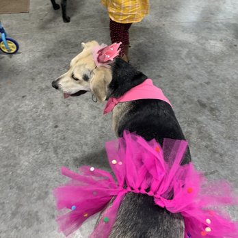 PetSmart - Dog - Pet Training Near Me - Zanesville, Ohio PetSmart - Dog - Pet Training Near Me - Zanesville, Ohio