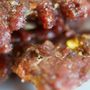 Photo of Charqui Jerky Co