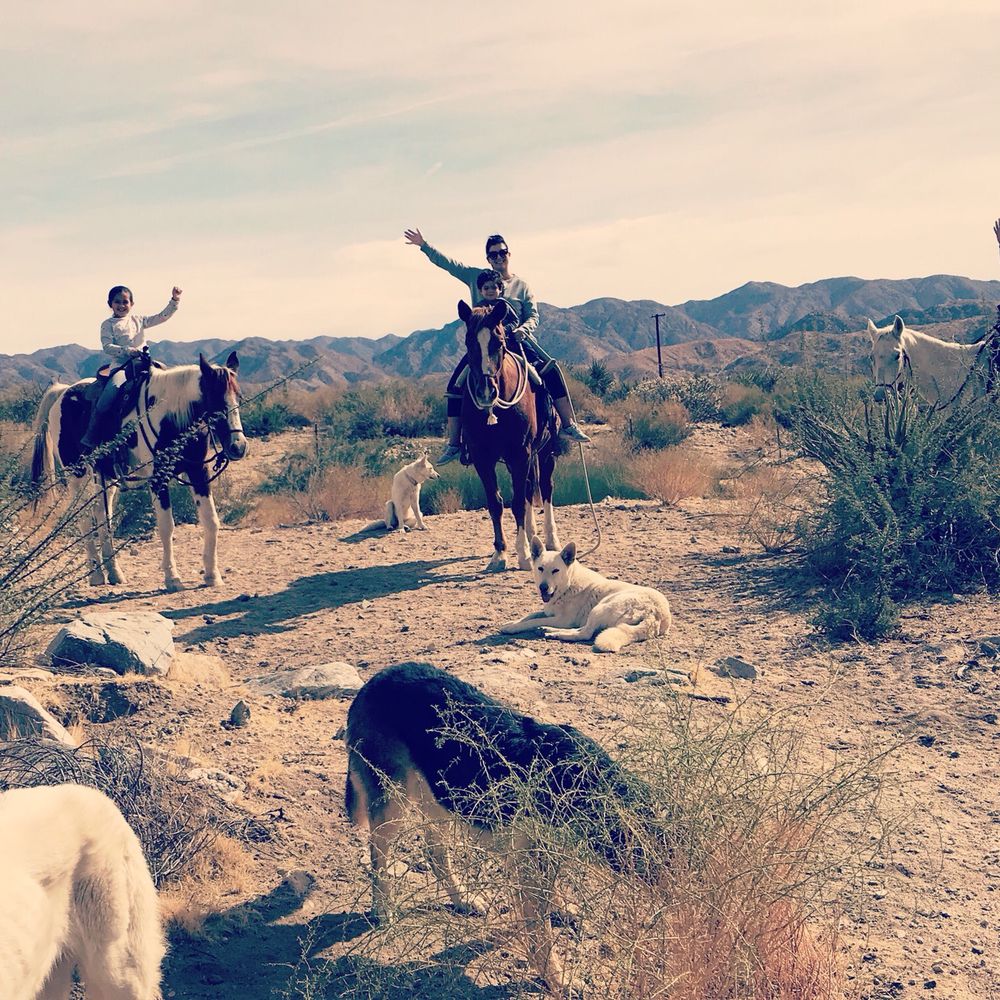 Crazy Horse Ranch - Horseback Riding Near Me - Morongo Valley, California Crazy Horse Ranch - Horseback Riding Near Me - Morongo Valley, California
