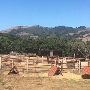 Stepladder Ranch & Creamery - Ranches Near Me - Cambria, California Stepladder Ranch & Creamery - Ranches Near Me - Cambria, California