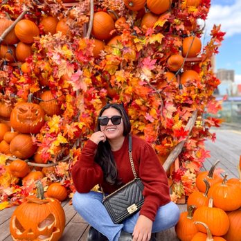 Pier 17 - Loving these colors - Venues & Event Spaces Near Me - New York, New York