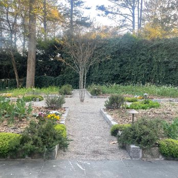 THE CHASTAIN - Outdoor Back Garden - Diners Near Me - Atlanta, Georgia