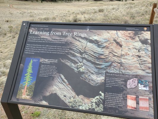 Florissant Fossil Beds National Monument by null