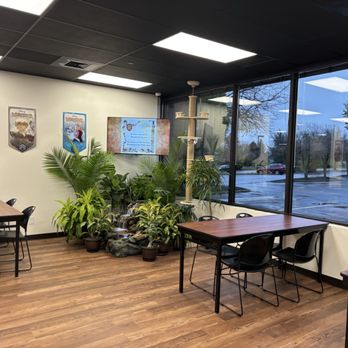 Round Table Games - Game area 2 - Tabletop Games Near Me - Dublin, Ohio