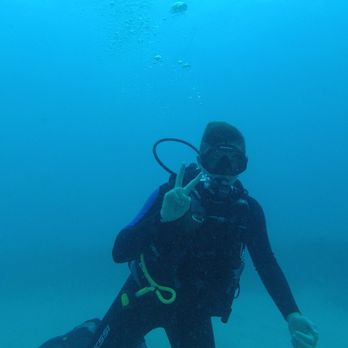 Reef Pirates Diving - Aloha - Scuba Diving Near Me - Honolulu, Hawaii Reef Pirates Diving - Aloha - Scuba Diving Near Me - Honolulu, Hawaii