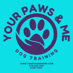 Your Paws and Me
