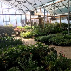 Greenhouse interior