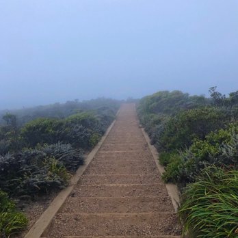 Hawk Hill - Hiking Near Me - San Francisco, California Hawk Hill - Hiking Near Me - San Francisco, California