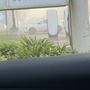 Photo of Tesla Supercharger