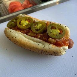 San Antonio Dog