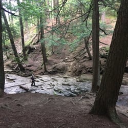 Salt Springs State Park