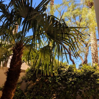 Veranda - Breakfast & Brunch Near Me - Las Vegas, Nevada Veranda - Breakfast & Brunch Near Me - Las Vegas, Nevada