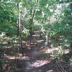 Lime Kiln Quarry
