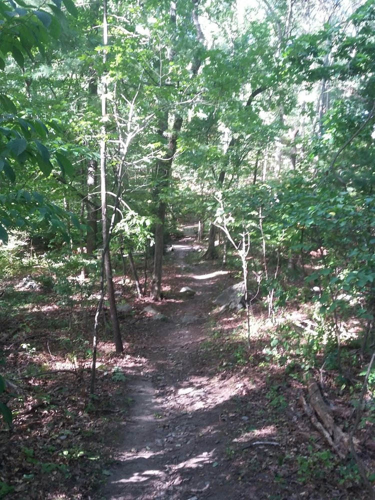 LIME KILN QUARRY Updated September 2024 Lime Kiln, Chelmsford