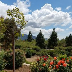 Camarillo hospice - Magnificent view.