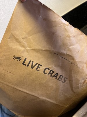 Alioto Lazio Fish Co by null