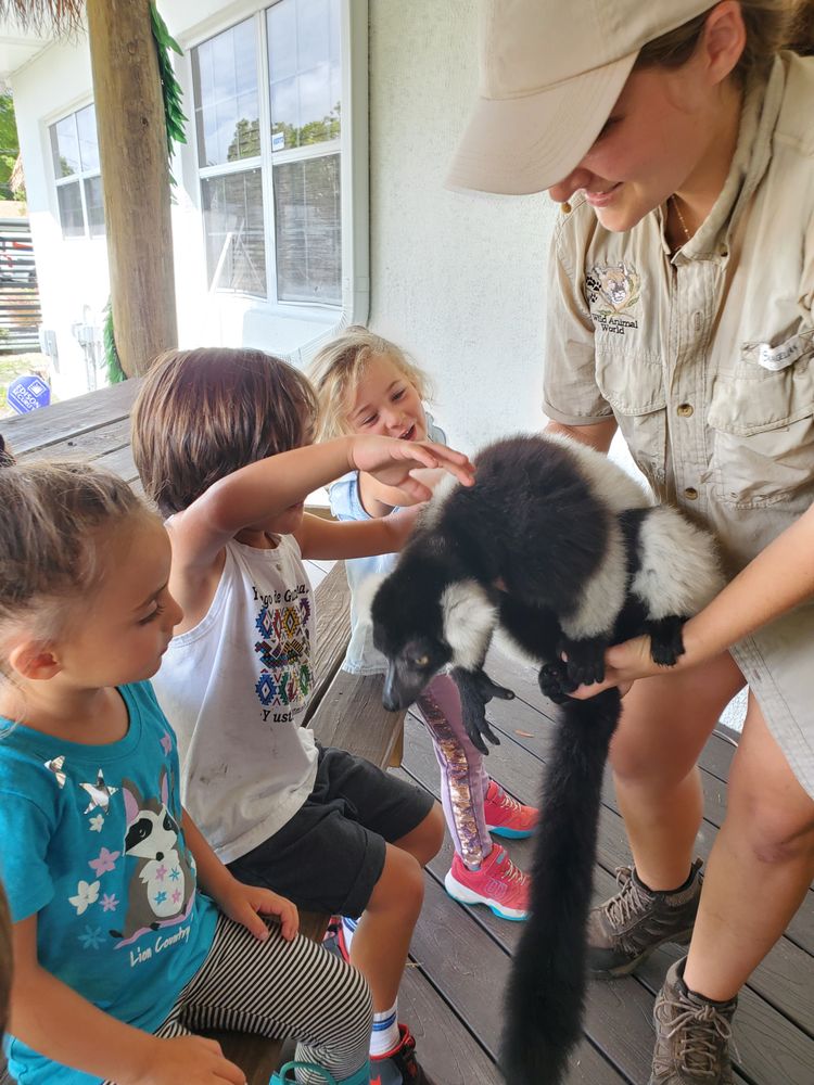 Green Explorers Academy - childcare center in North Miami, FL